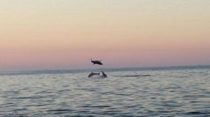 Salento Vela Maestra San Foca