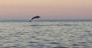 Salento Vela Maestra San Foca